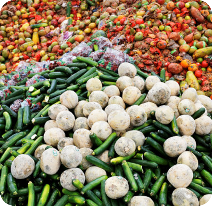 Limited access to premium and export buyers